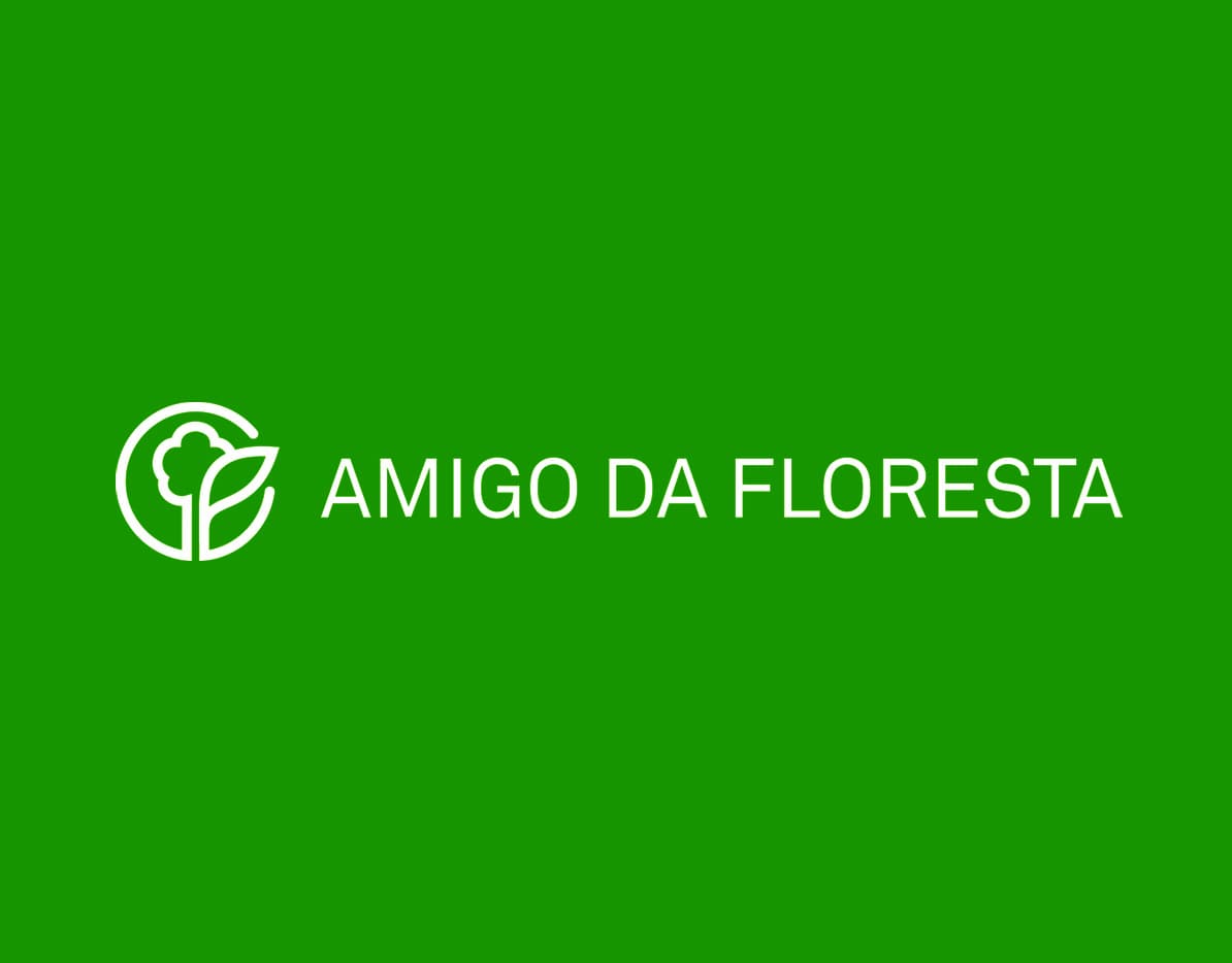 Imagem do slide
